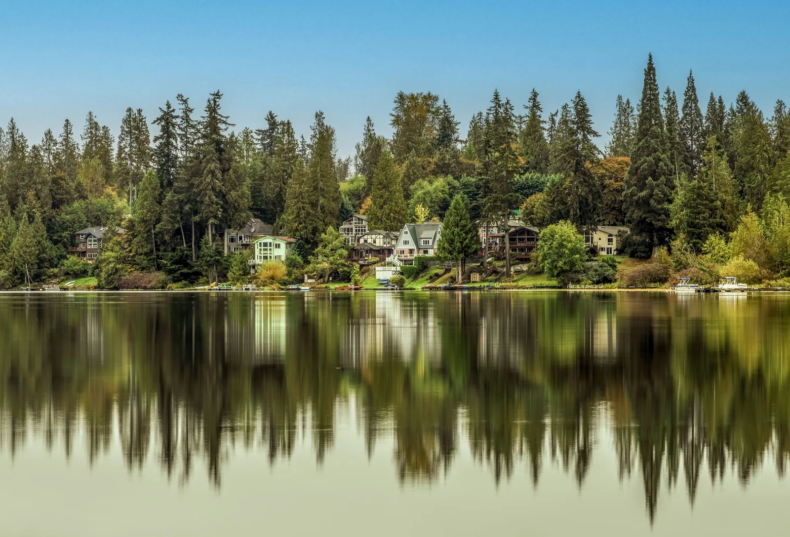 Lakefront homes among tall evergreens mirrored in calm water in Renton, Washington